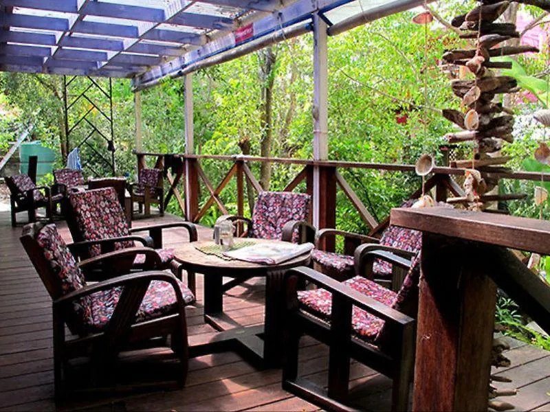 Albergue Dolphins Backpackers Sunshine Beach Hostal